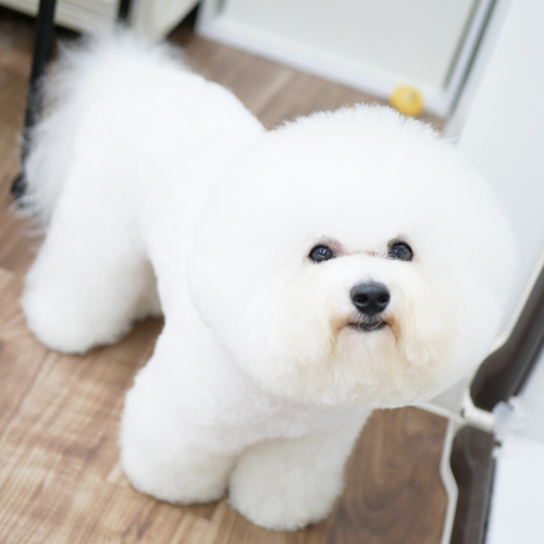 JUN